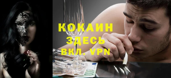 прущие грибы Абинск
