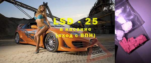 прущие грибы Абинск