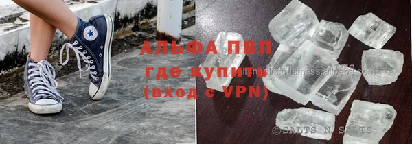 прущие грибы Абинск