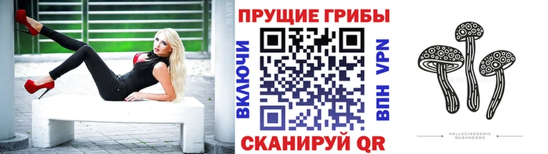 Псилоцибиновые грибы Psilocybe  Ува 