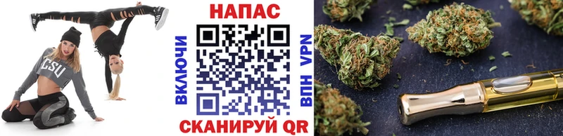 Каннабис сатива Ува